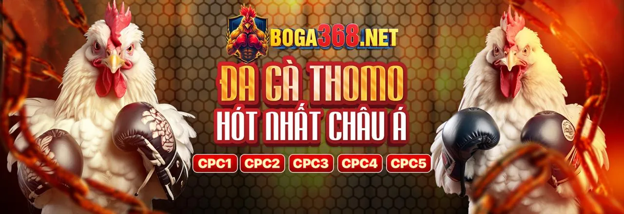 Giao diện thân thiện và tối ưu của 678win app